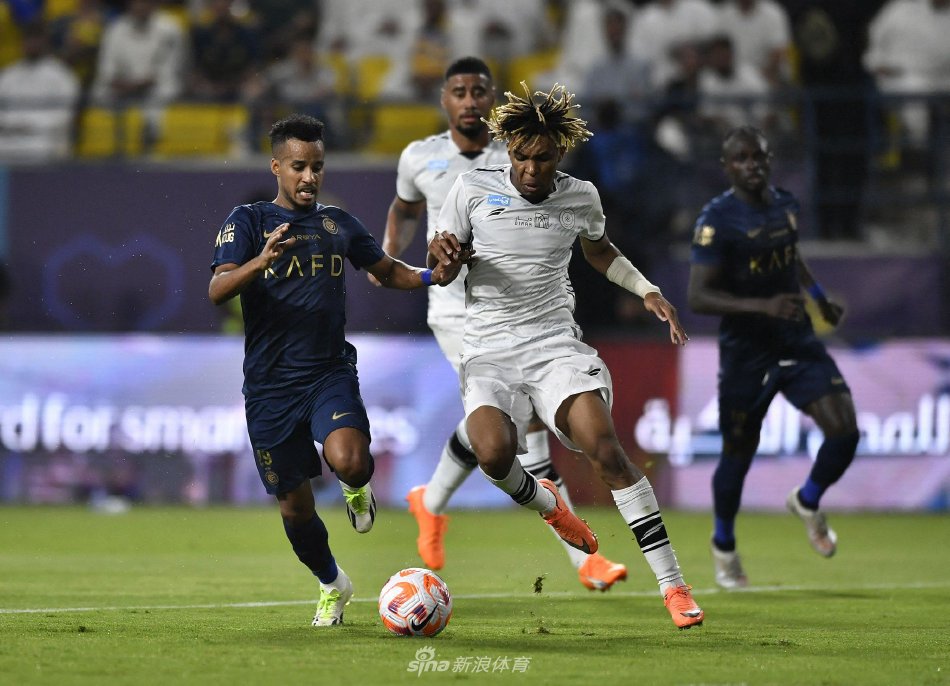 这群与雪共 这群与雪共