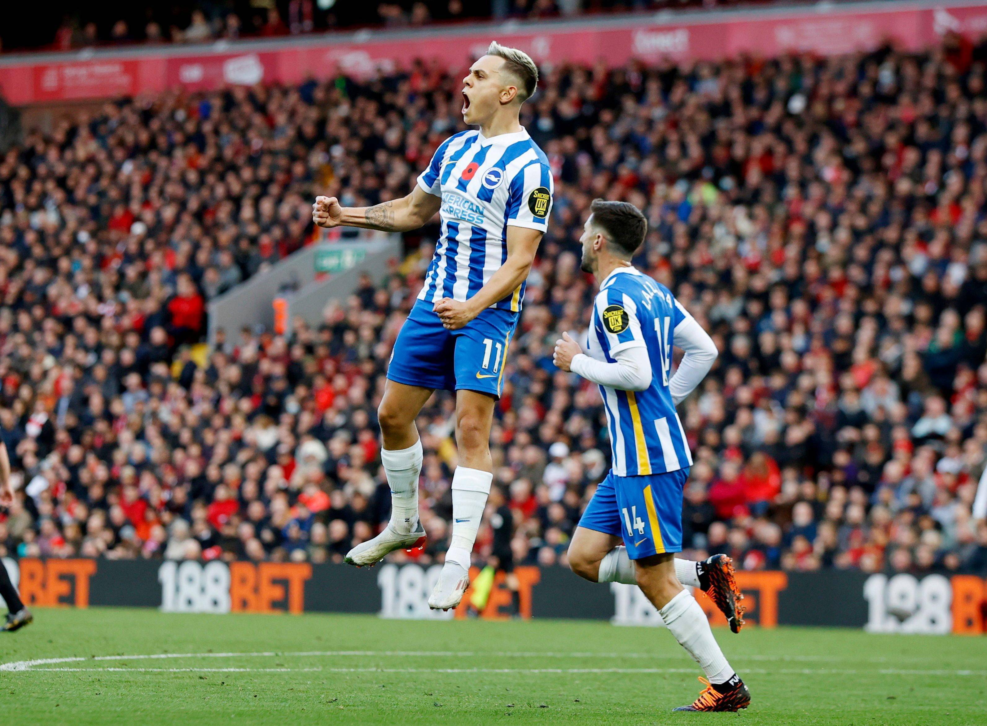 是跳水队的 是跳水队的